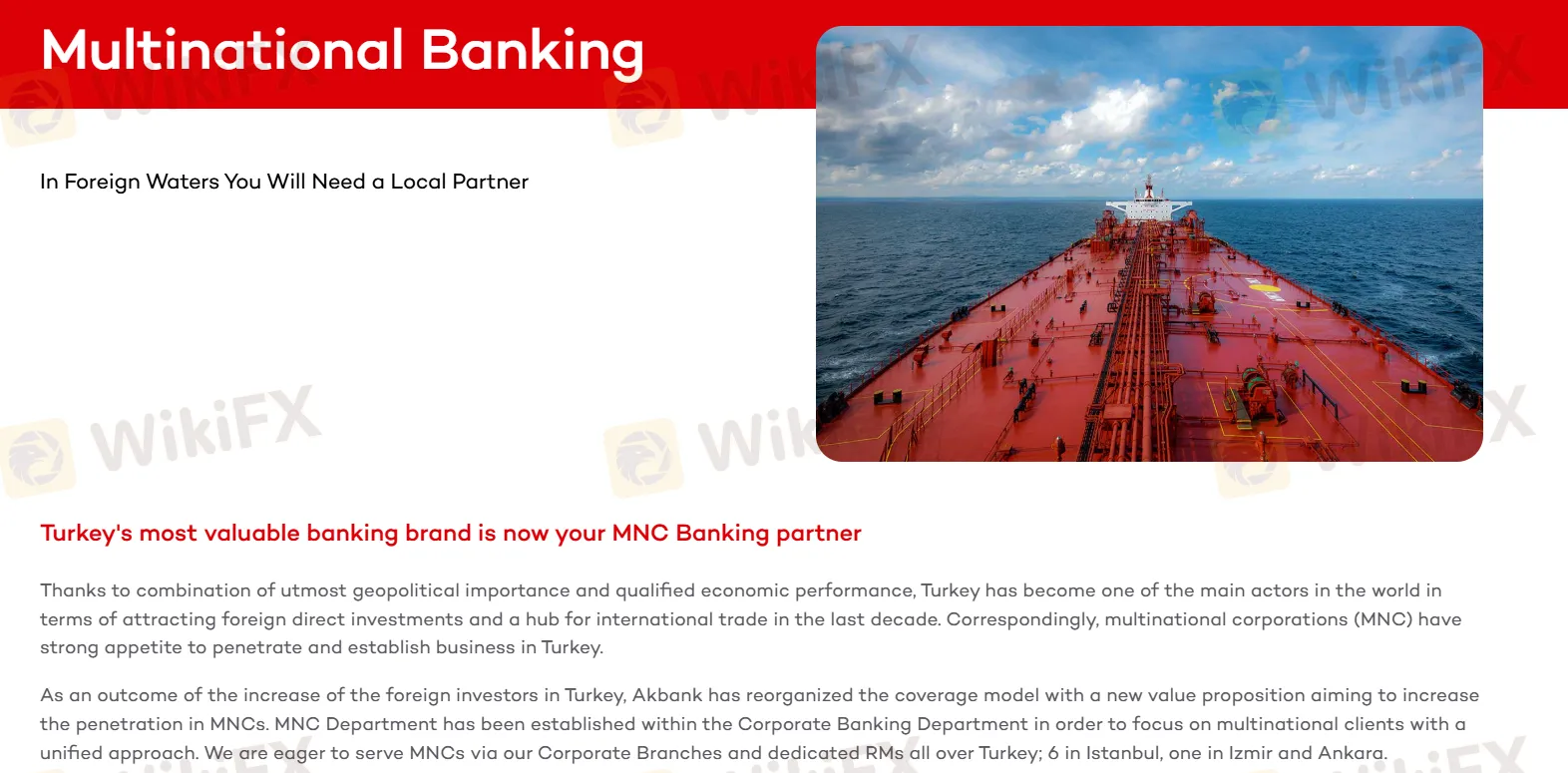 multinational banking