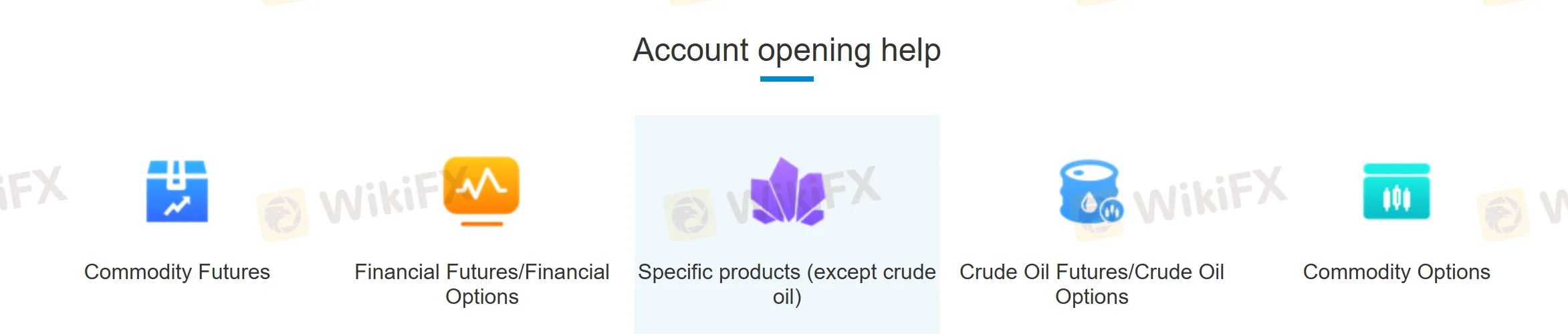 Chasing Futures App