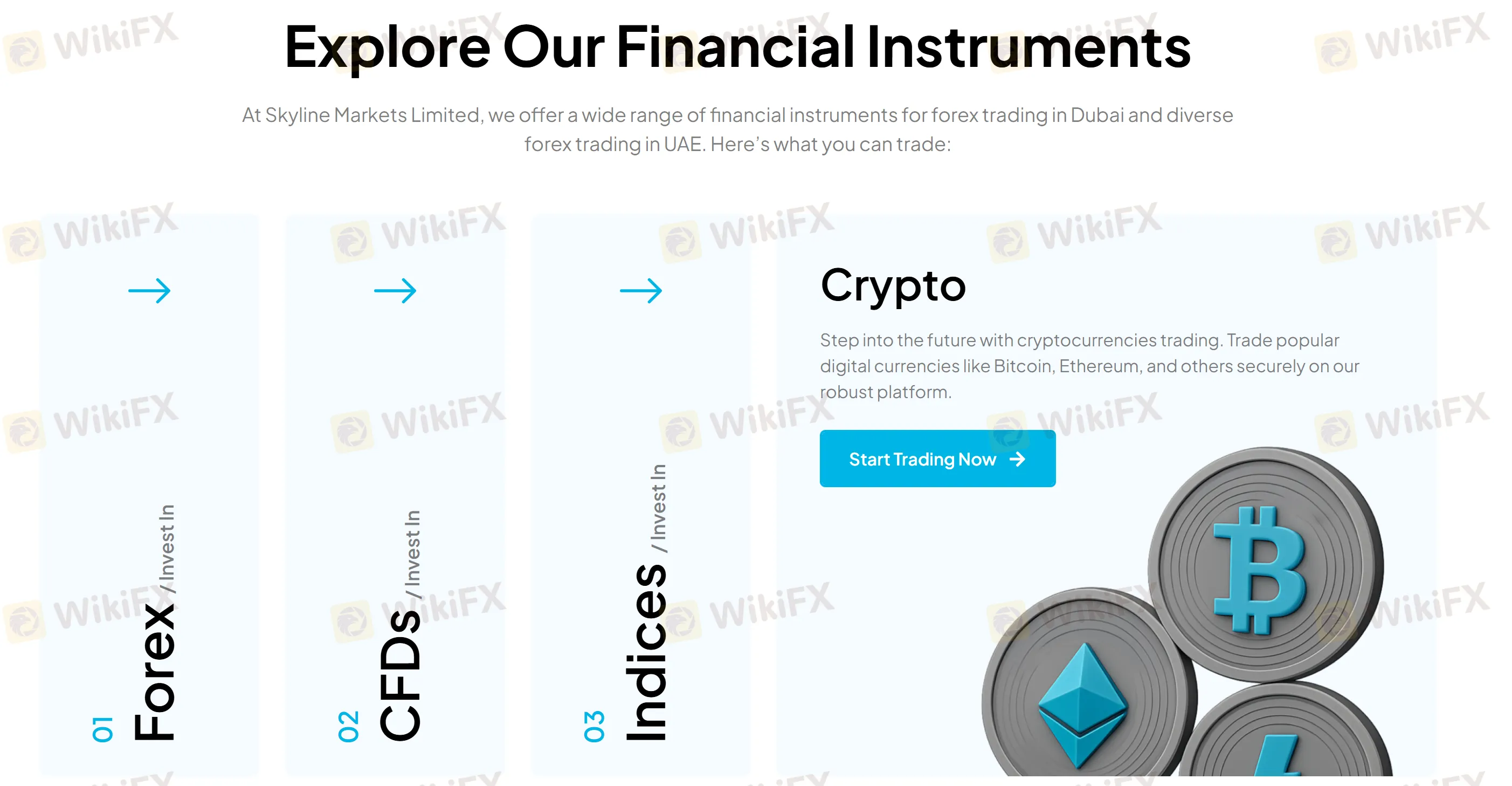 Skyline Trading продукты