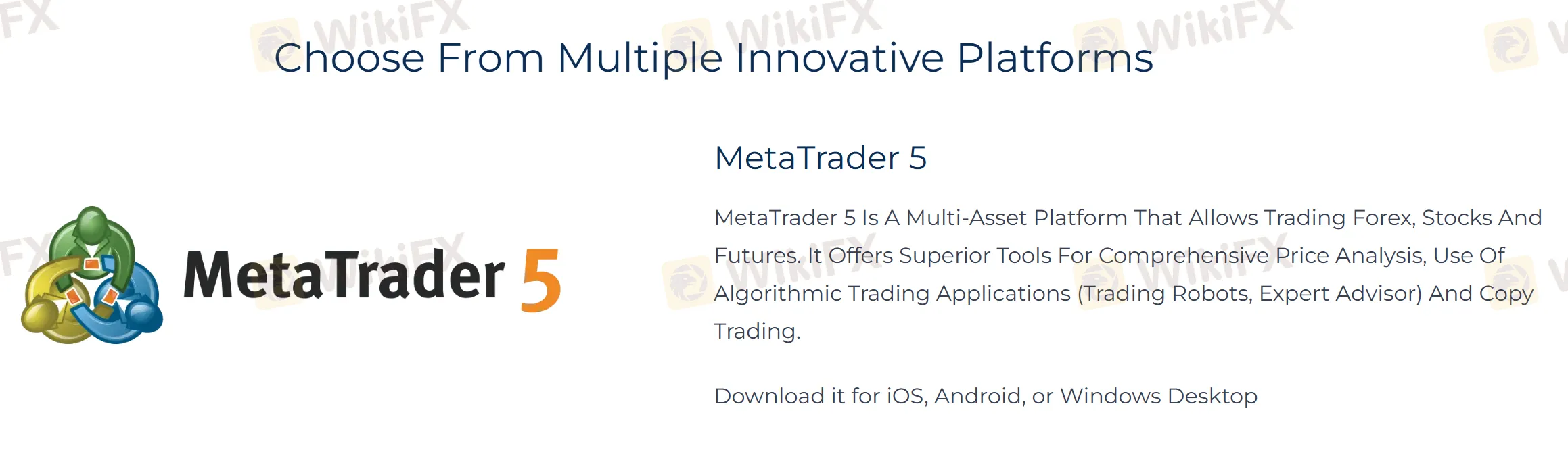Markets Rise platform