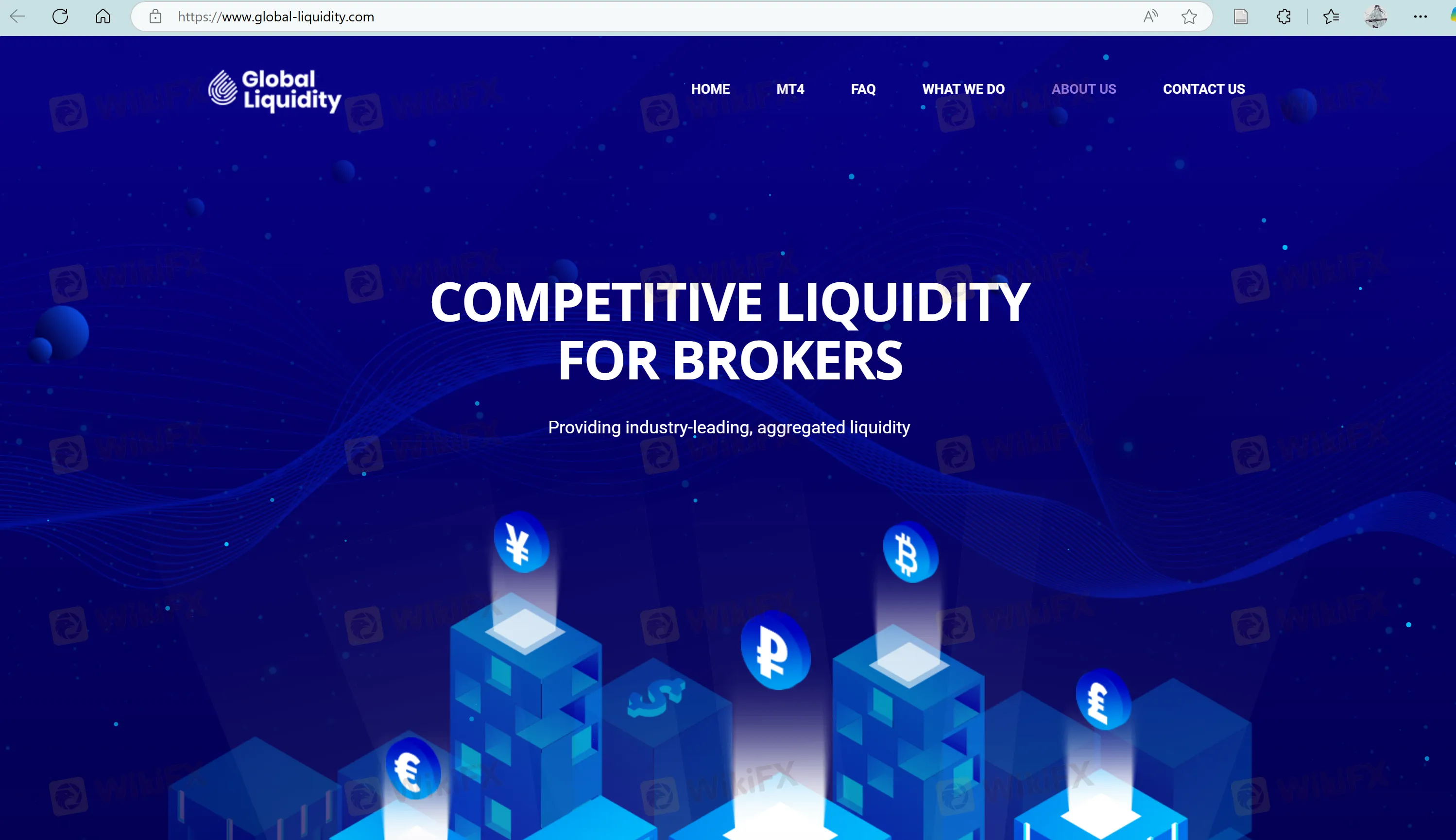 GLOBAL LIQUIDITY info