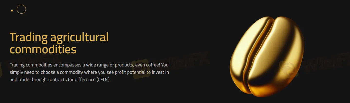 GS CAPITAL products