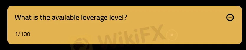 Leverage
