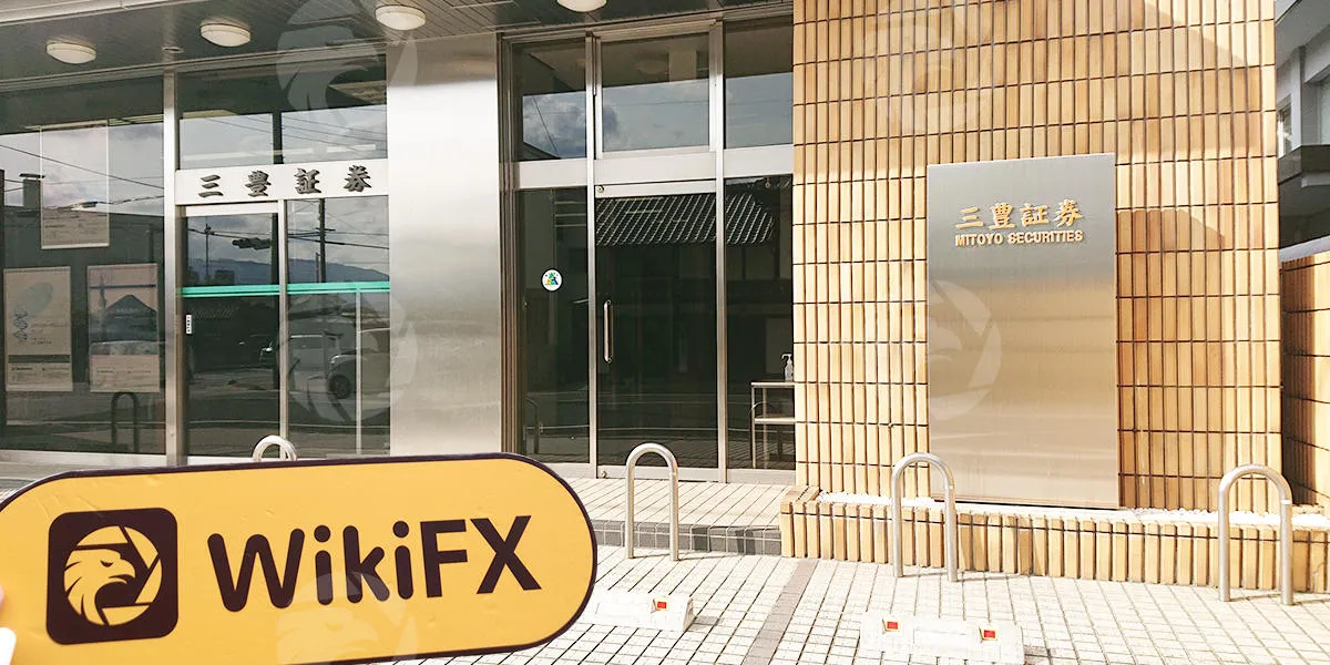 위키FX 현장 조사