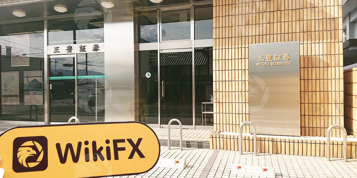 WikiFX Field Survey
