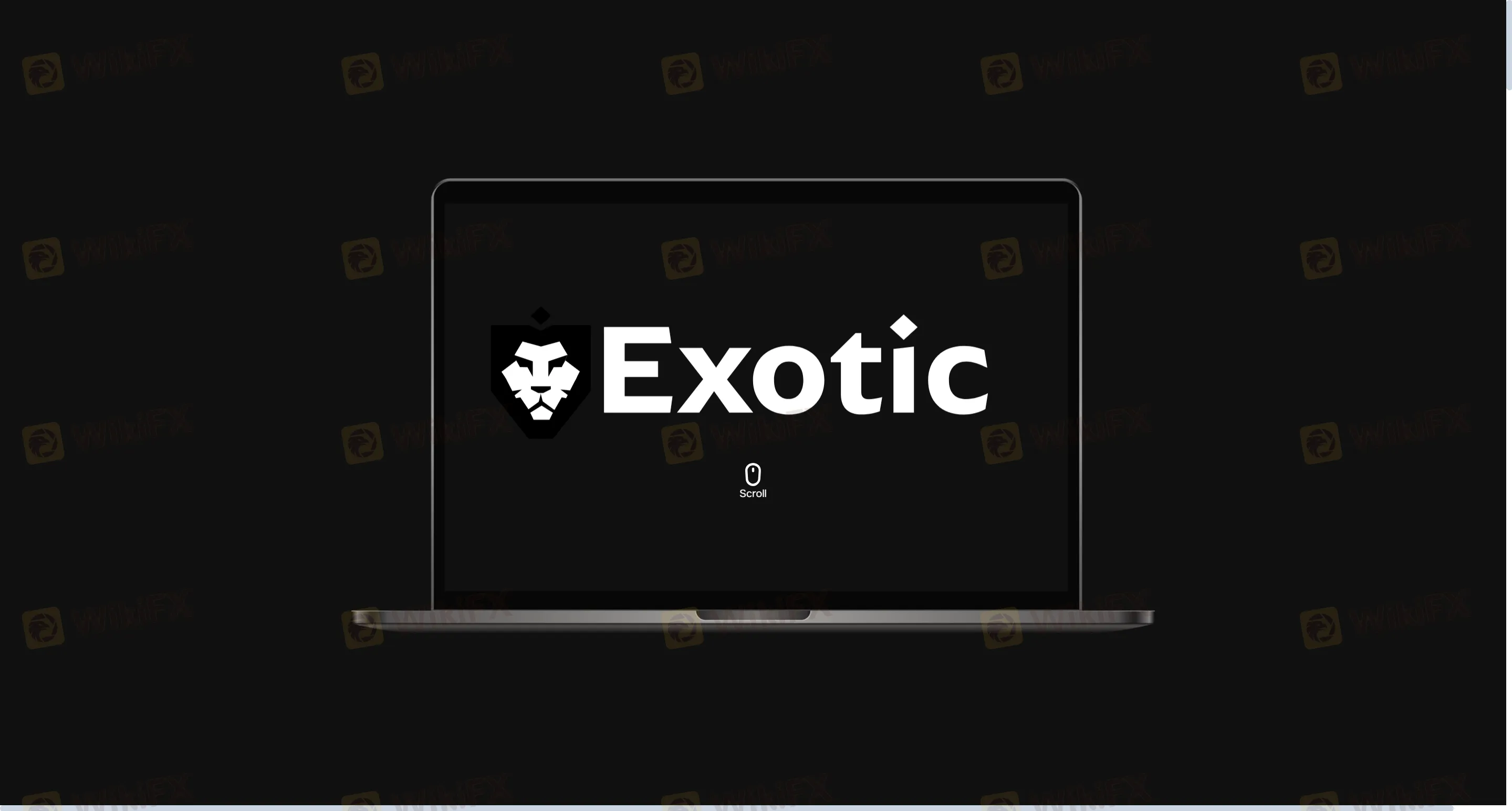 Exotic FX
