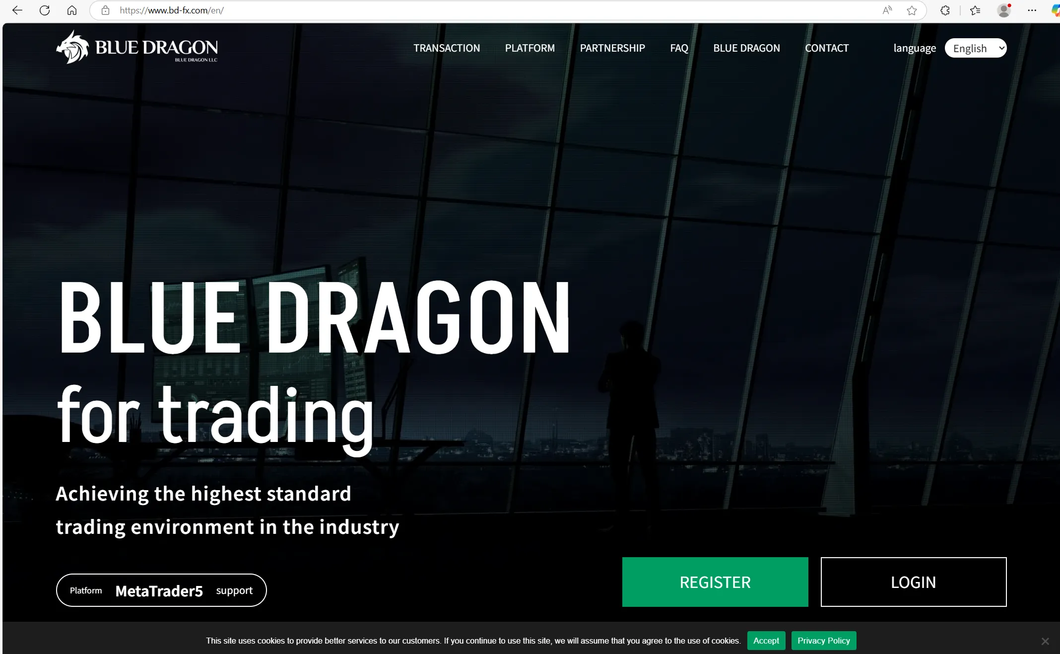 Blue Dragon 홈페이지 Blue Dragon 홈페이지