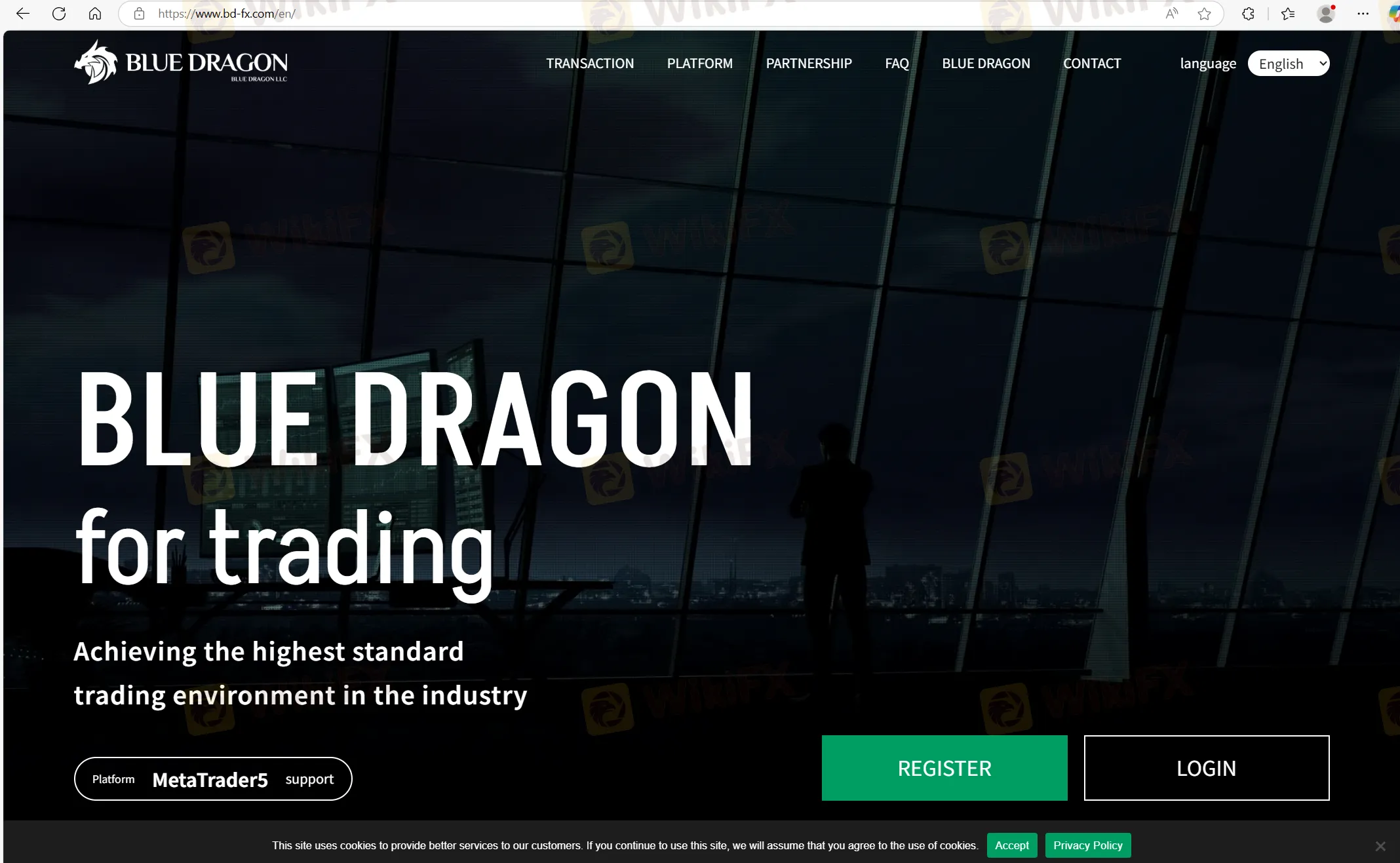 Blue Dragon's homepage