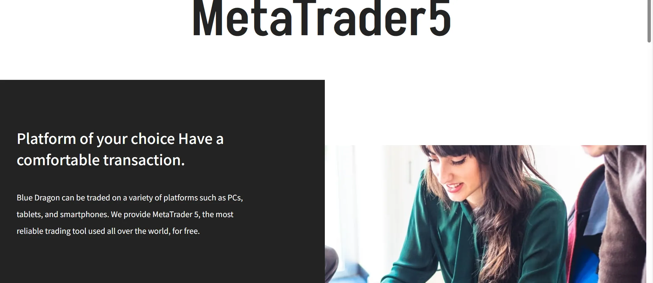MT5 플랫폼 MT5 플랫폼