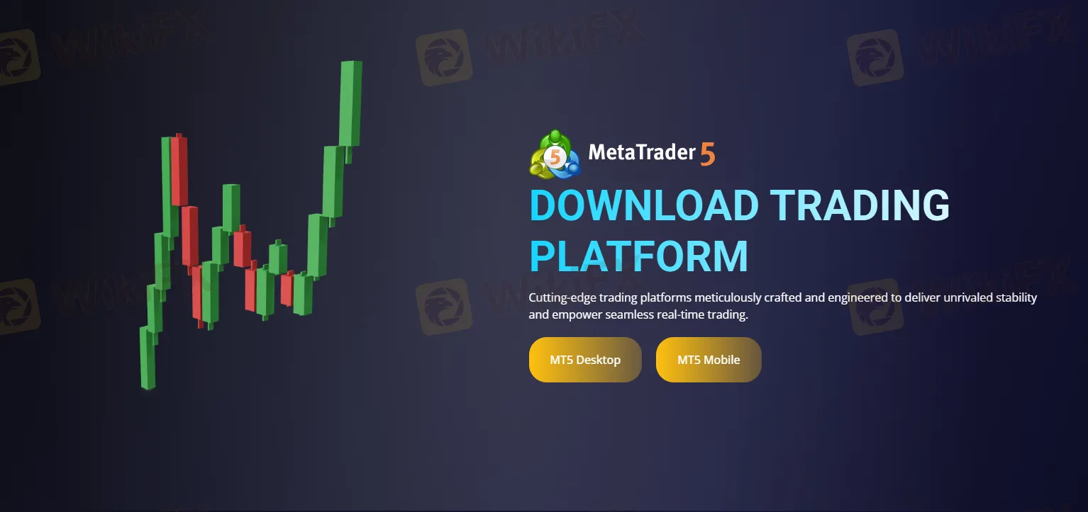 Платформа MT5