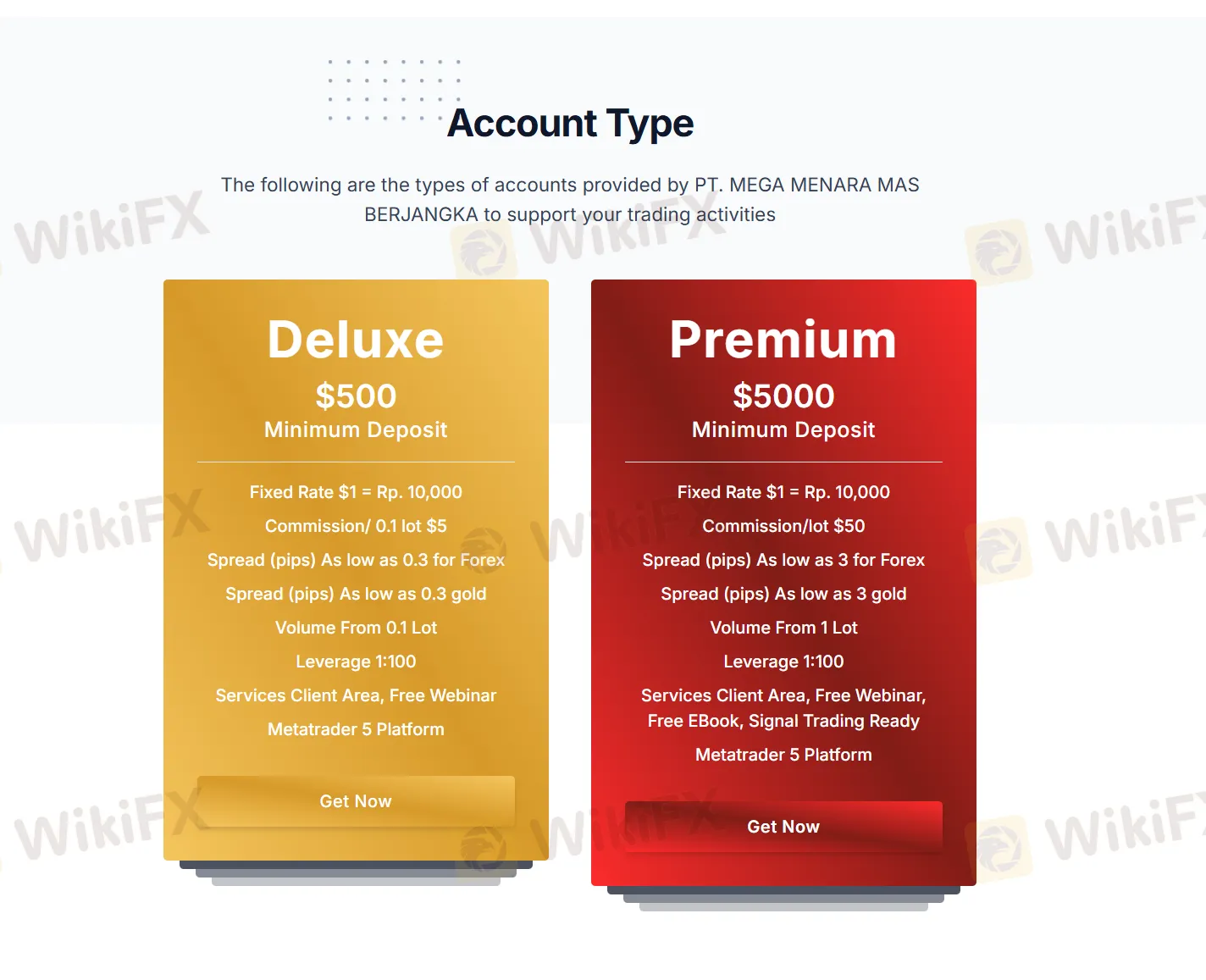 계정 비교 계정 비교