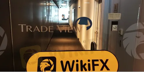 WikiFX Field Survey