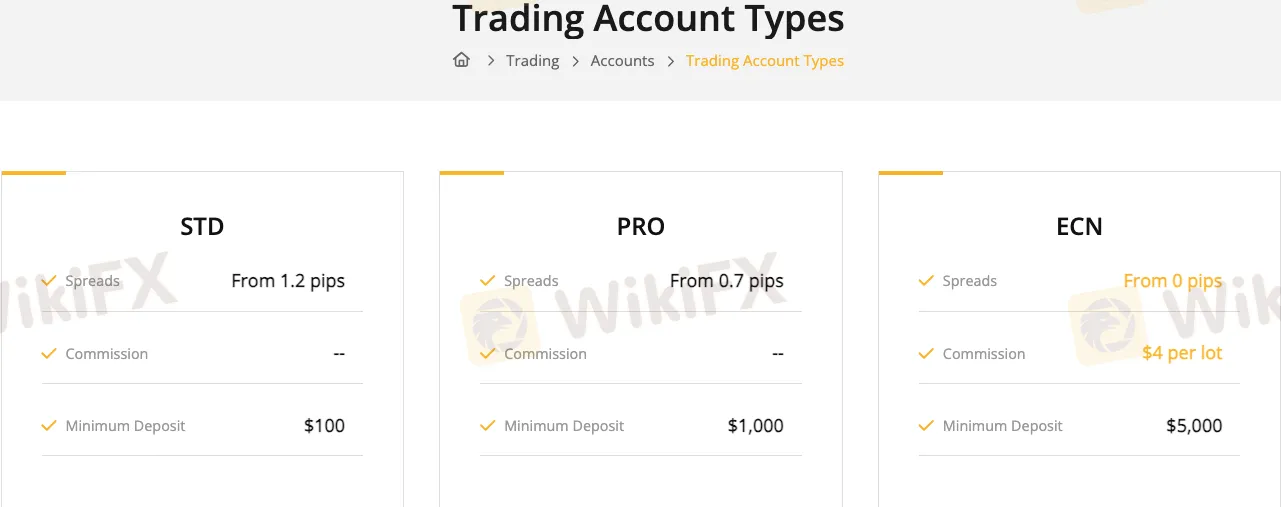 Account Types