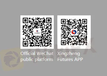 Plataforma de Trading