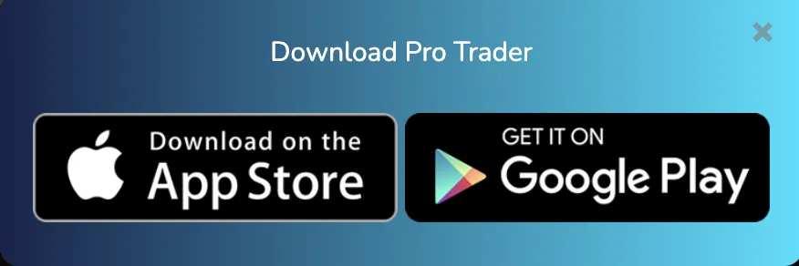 Pro Trader Pro Trader
