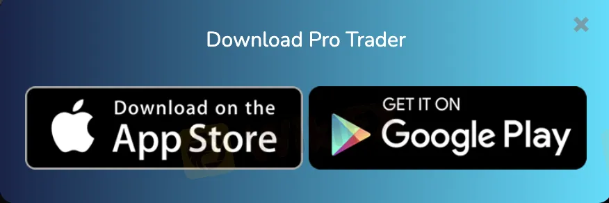 Pro Trader 