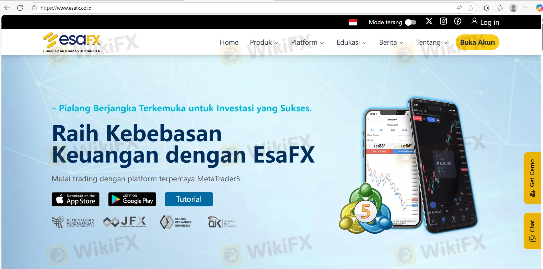 EsaFX 資訊