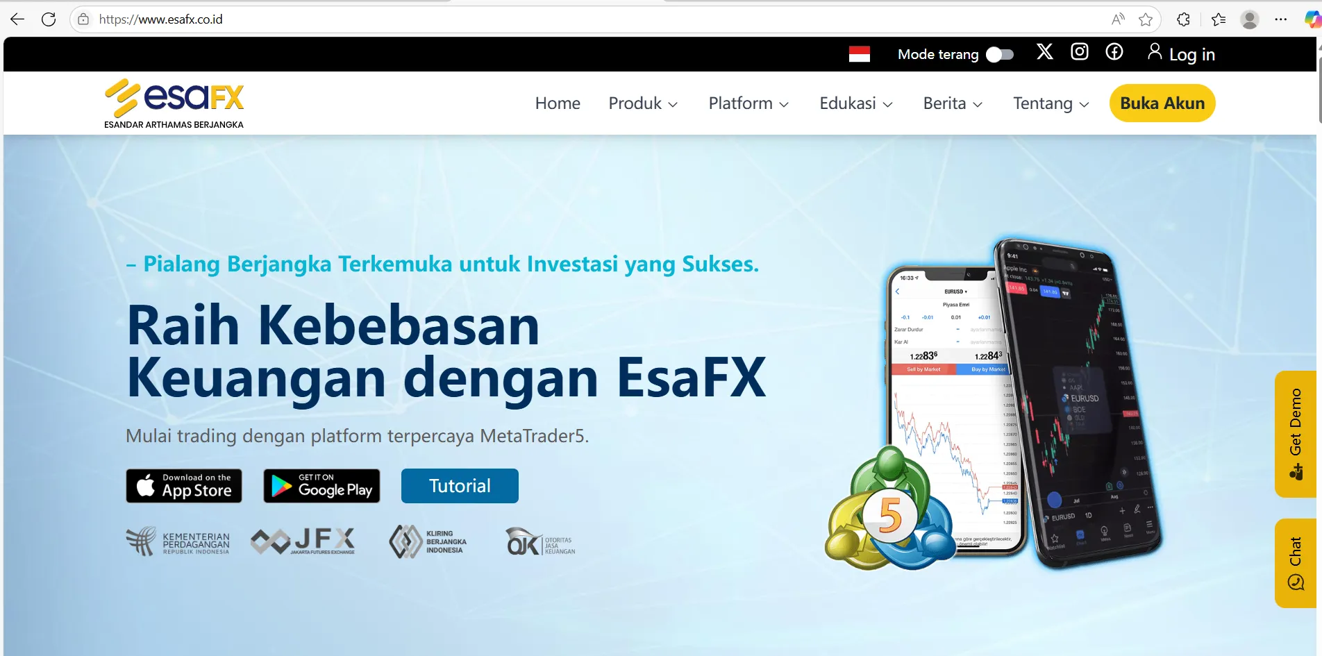 EsaFX Information EsaFX Information