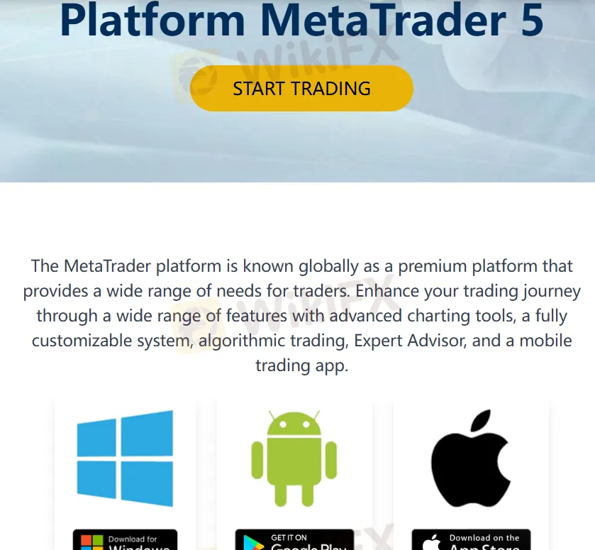 Platform Perdagangan