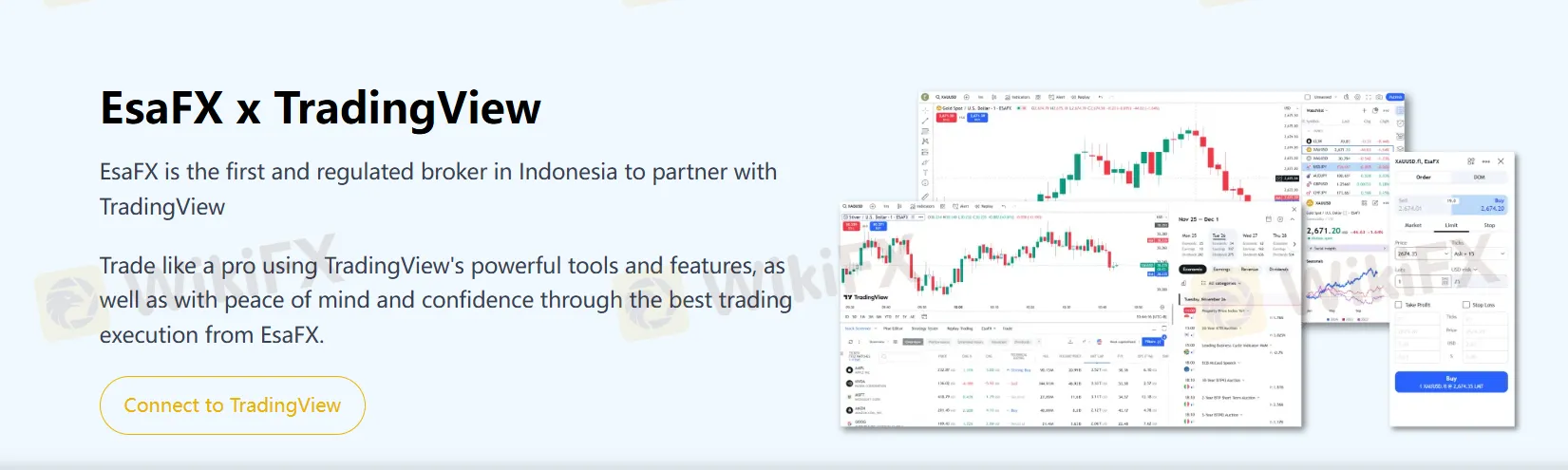 Copy Trading