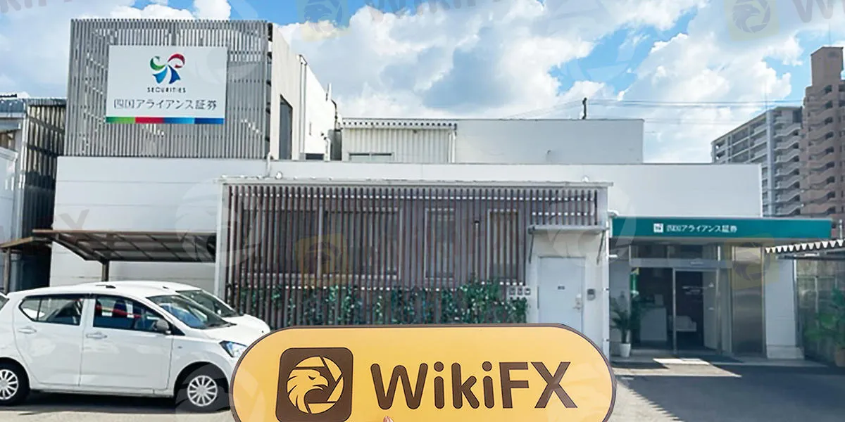 WikiFX Field Survey