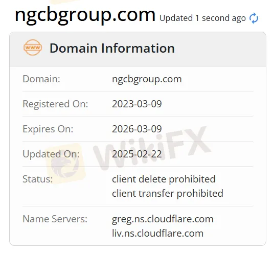 Newton Global domain