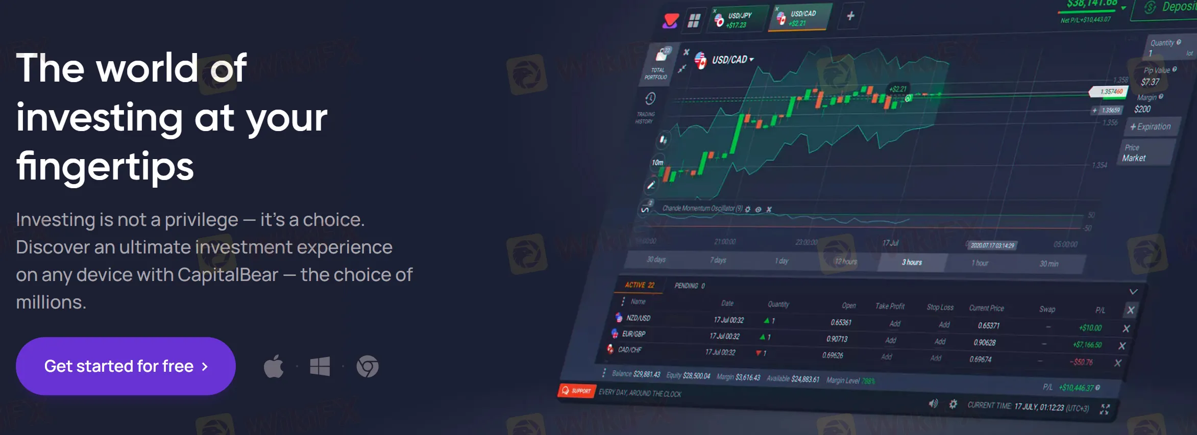 CapitalBear platform CapitalBear platform