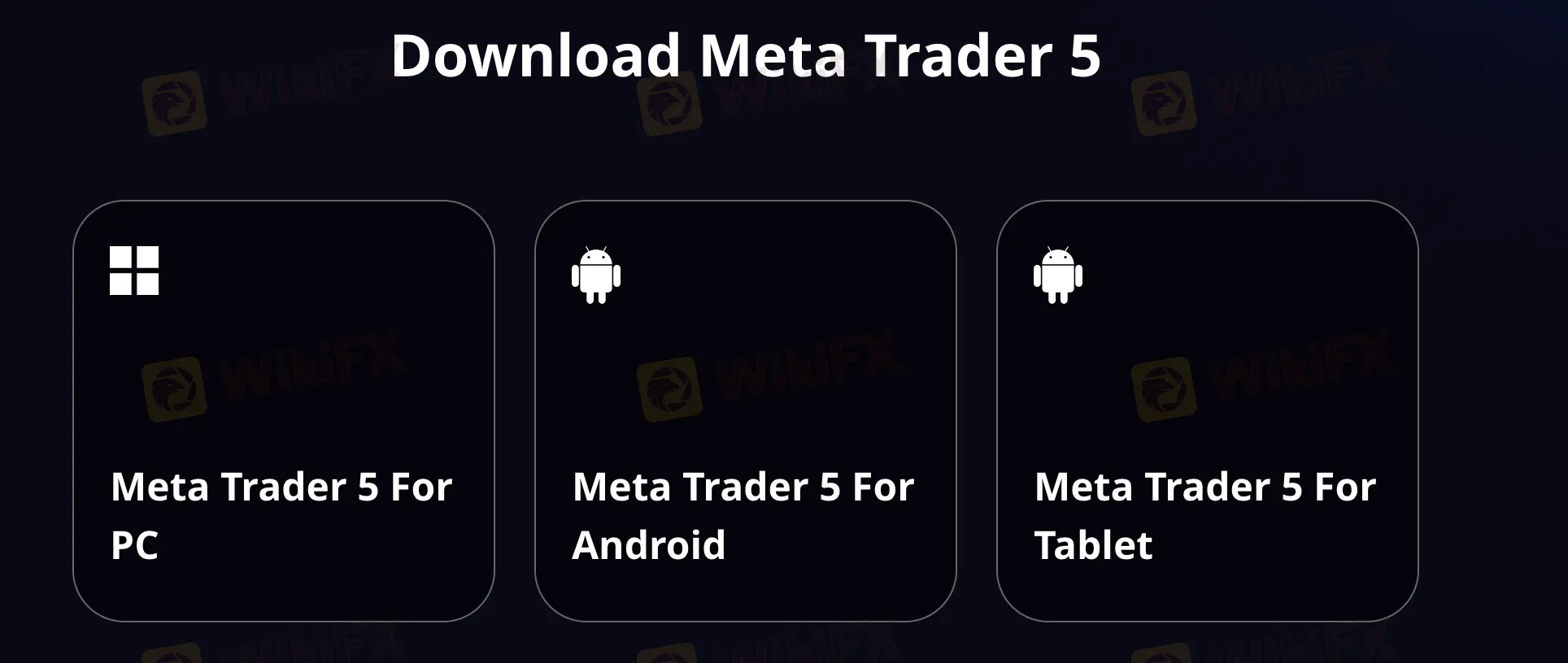 MT5