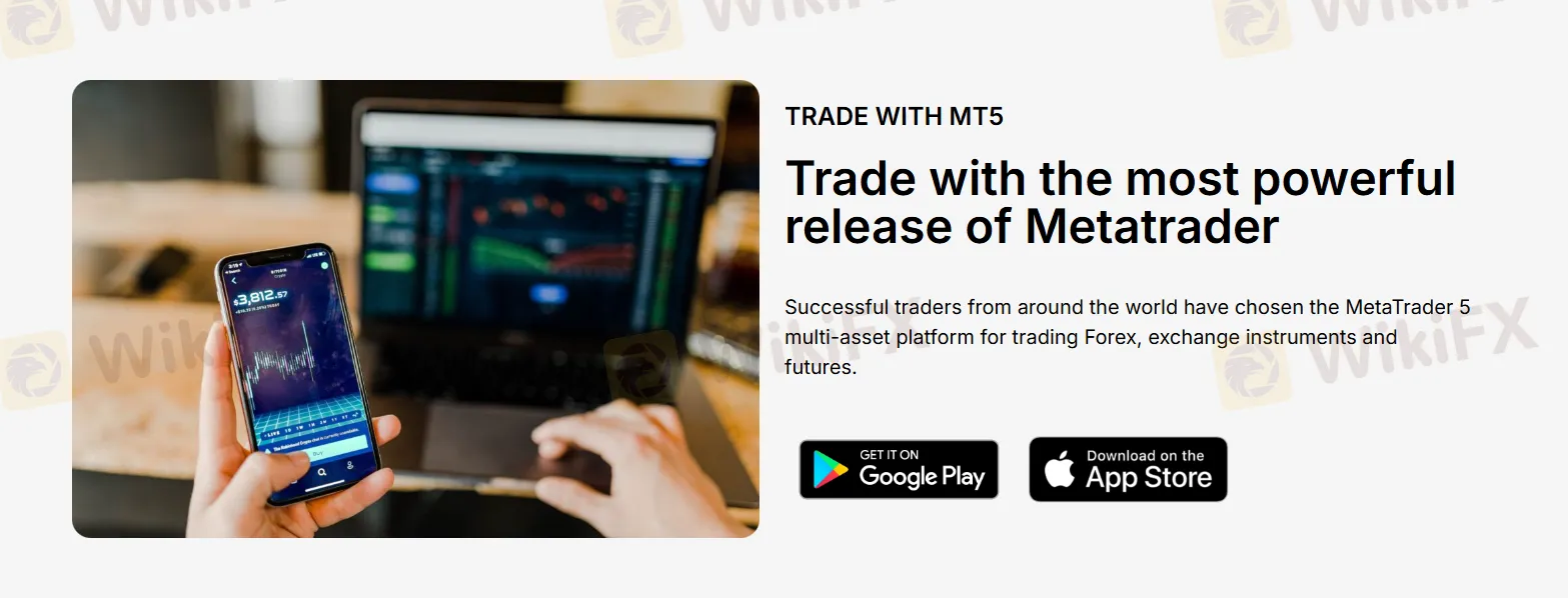 MT5
