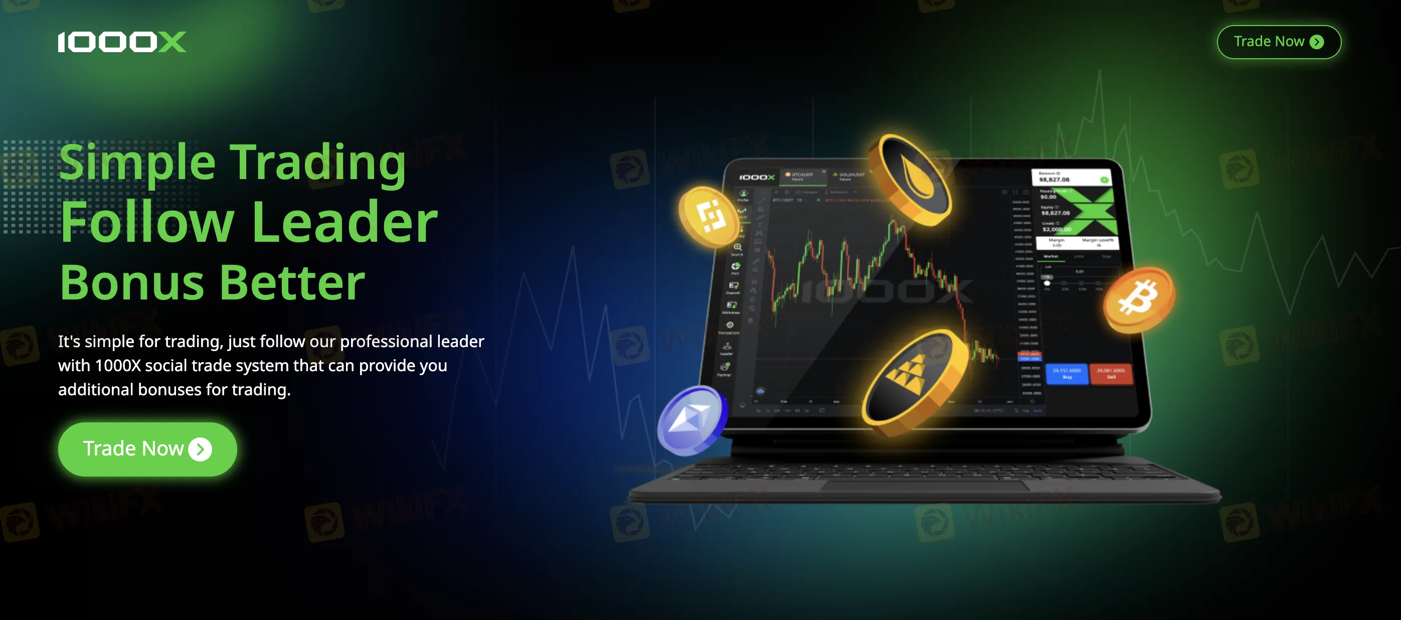 1000X's homepage