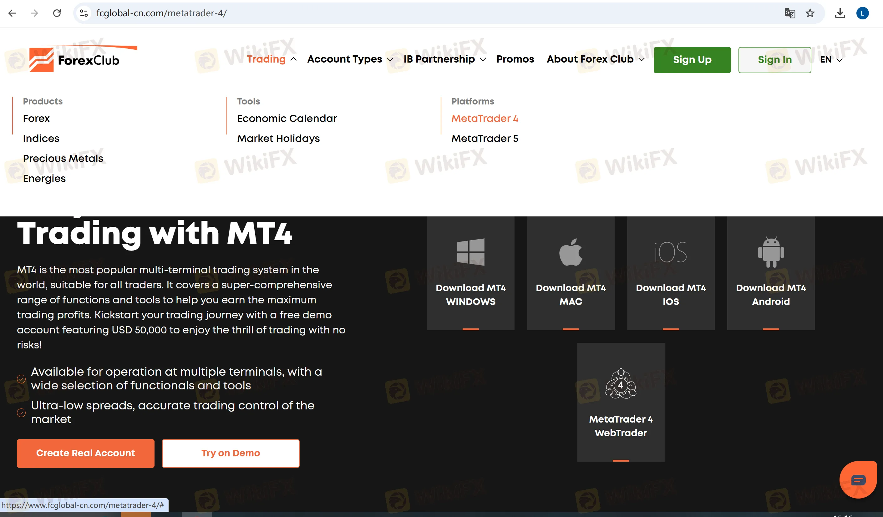 MT5