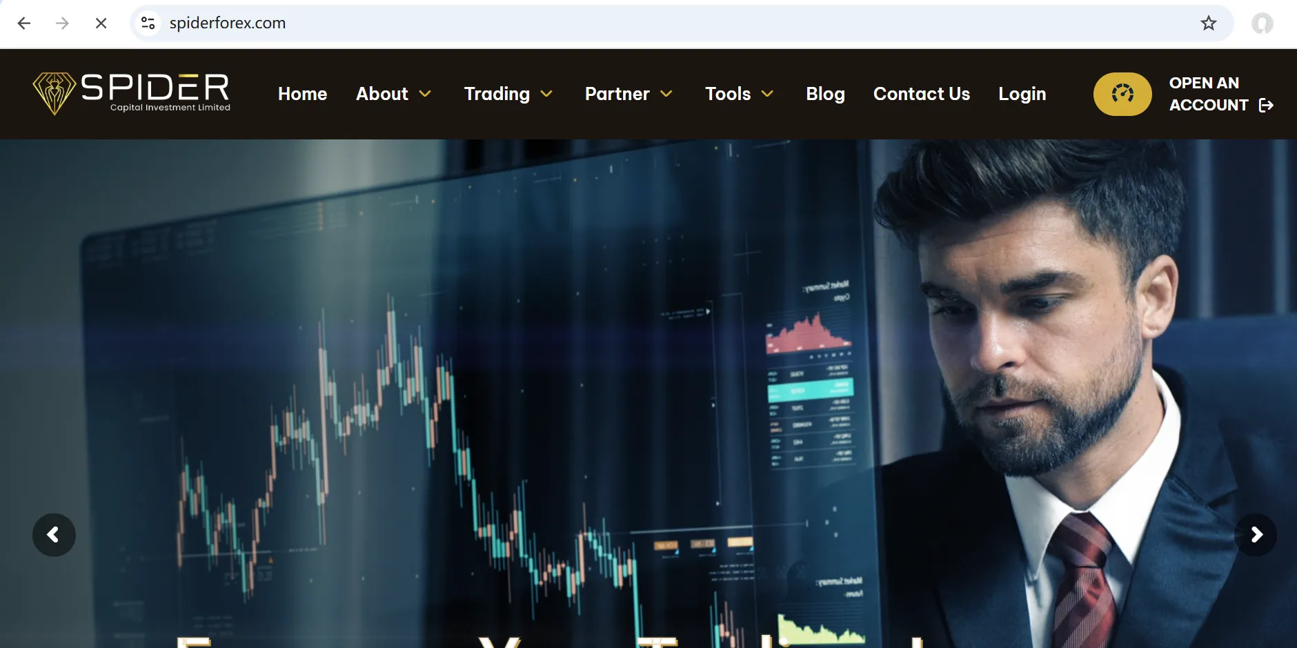 Spider Forex Information Spider Forex Information
