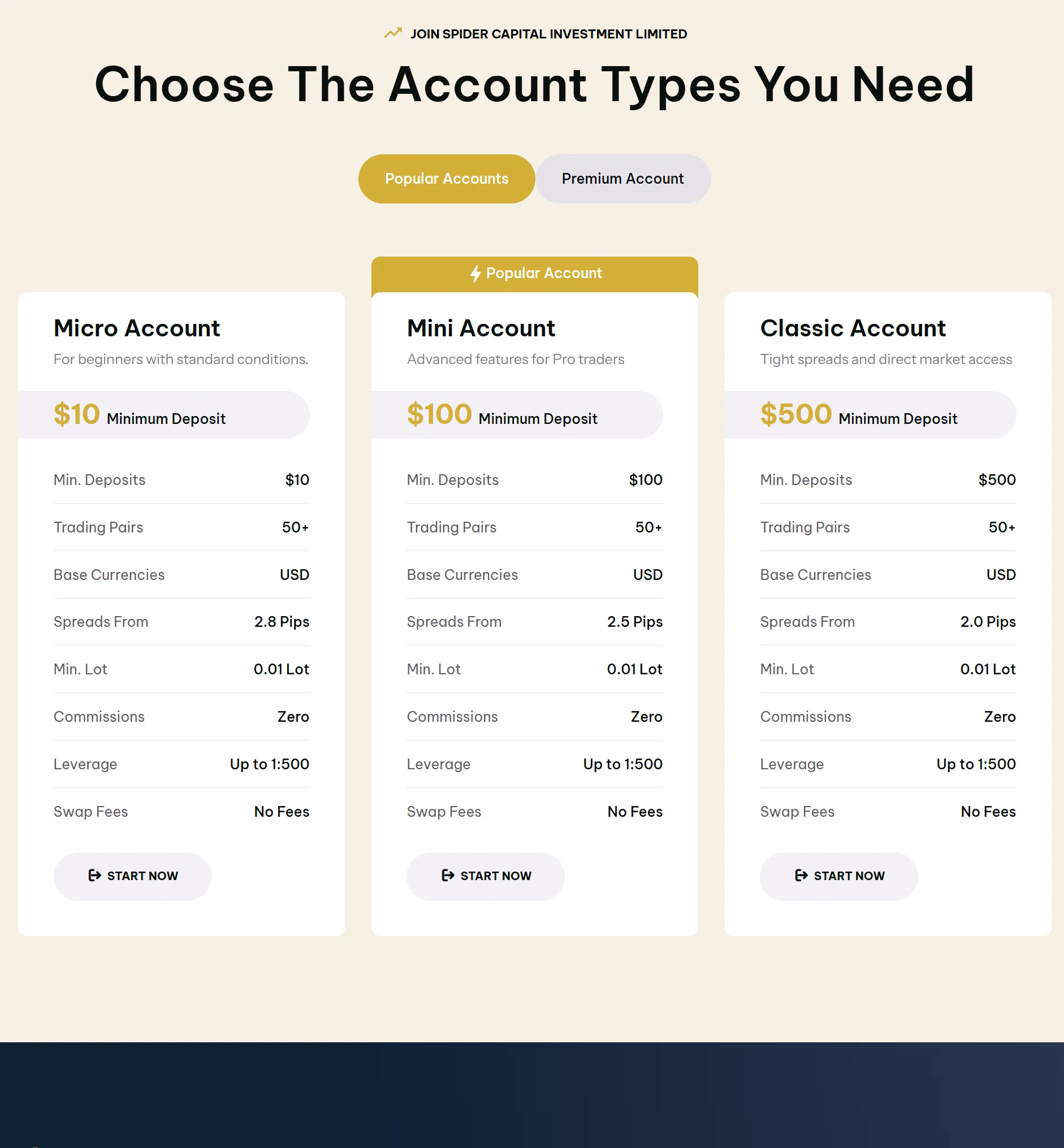 Account Type Account Type