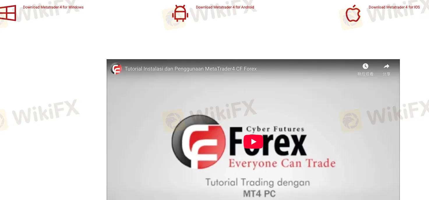 CFForex Platform