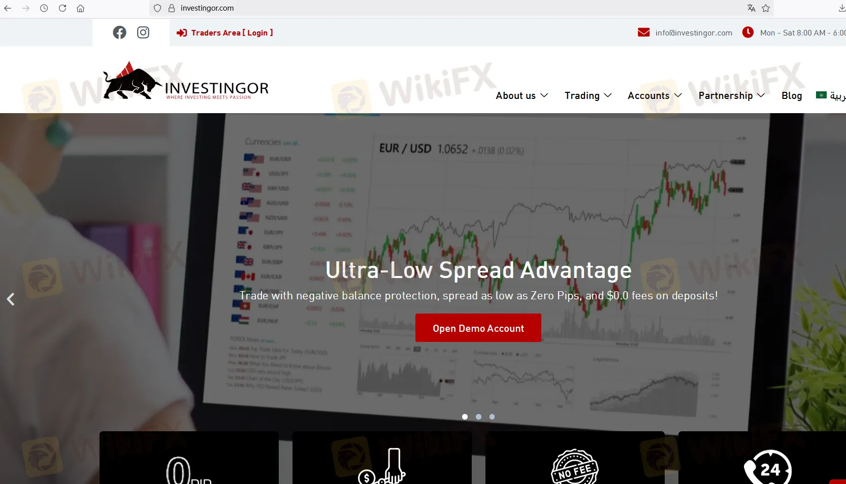 Investingor Информация
