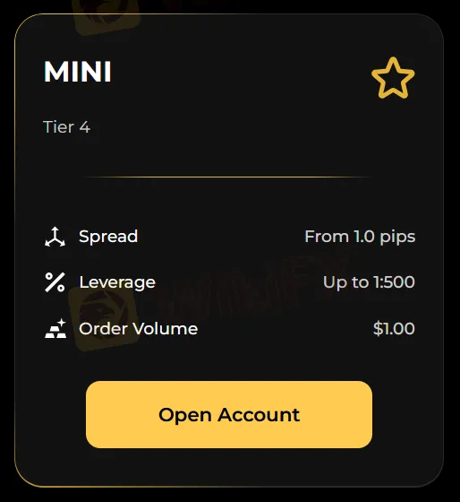 Uri ng Account