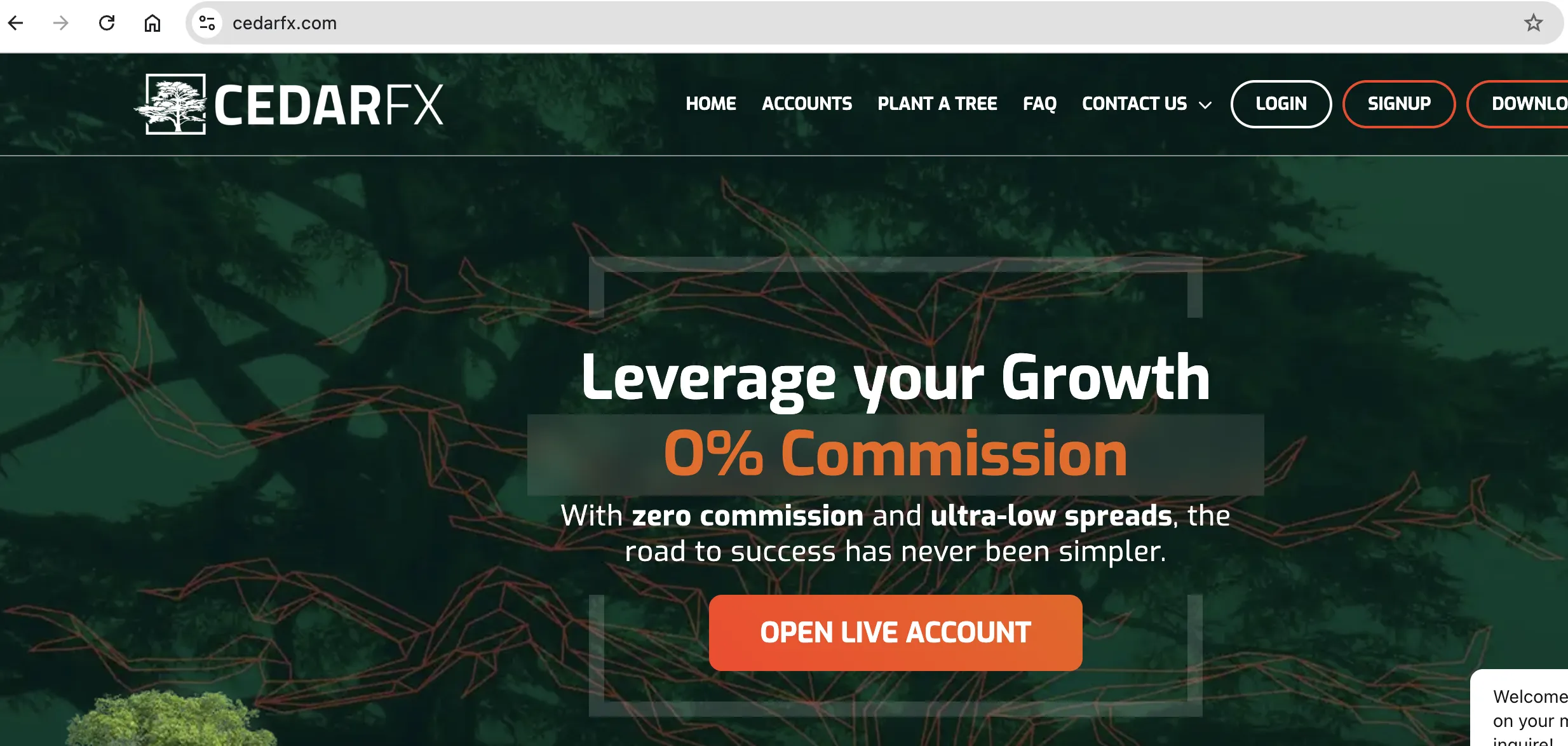 الصفحة الرئيسية لـ CedarFX الصفحة الرئيسية لـ CedarFX