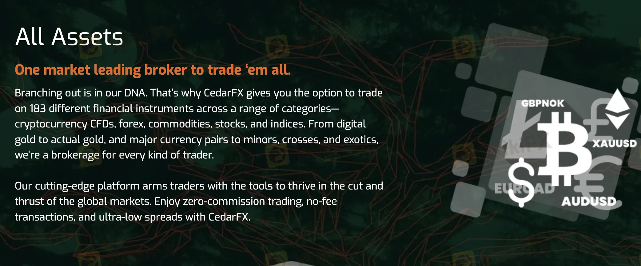 Ano ang Maaari Kong I-Trade sa  CedarFX?