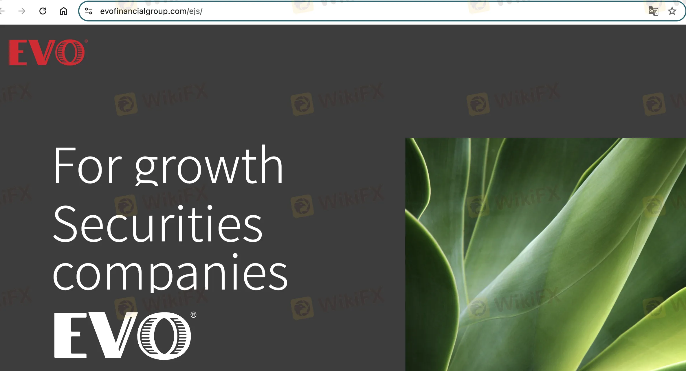 EVOLUTION JAPAN SECURITIES 主页