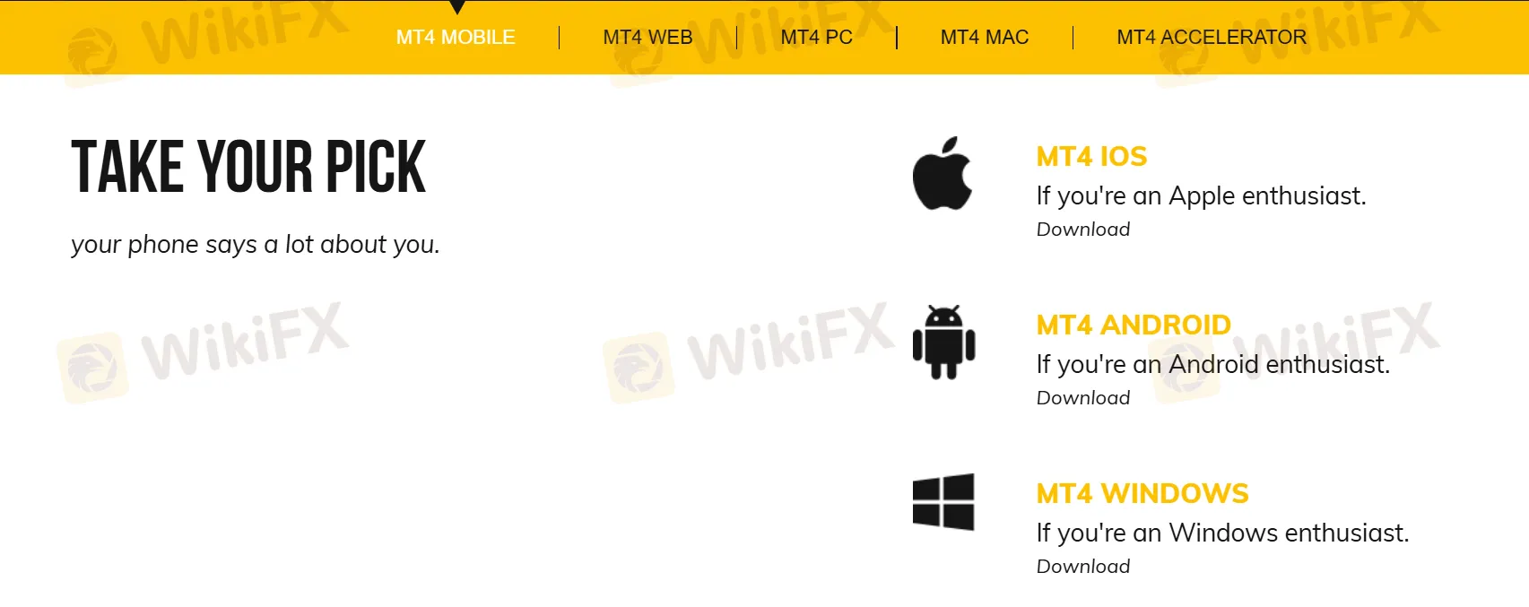 MT4 플랫폼