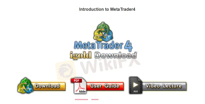 MT4