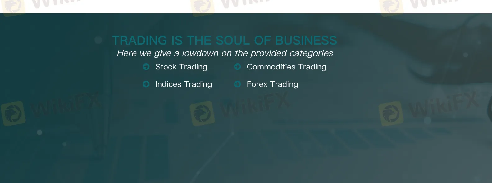 What Can I Trade on Metacode?