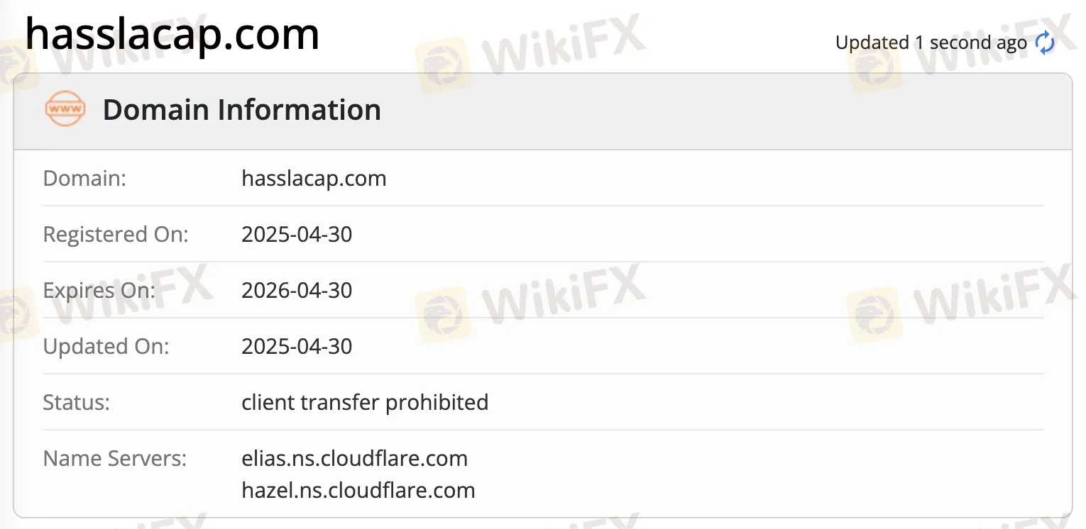 ドメイン情報 ドメイン情報