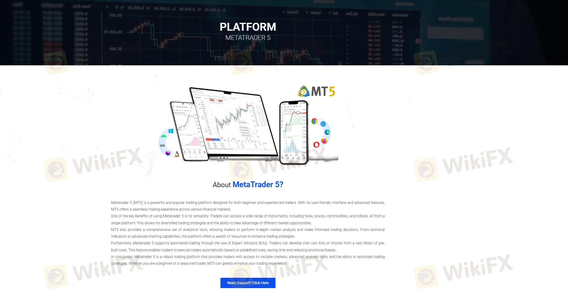 MT5 platform
