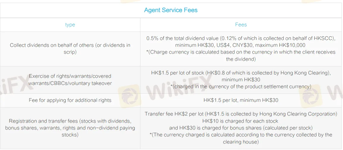 Agent Service Fees