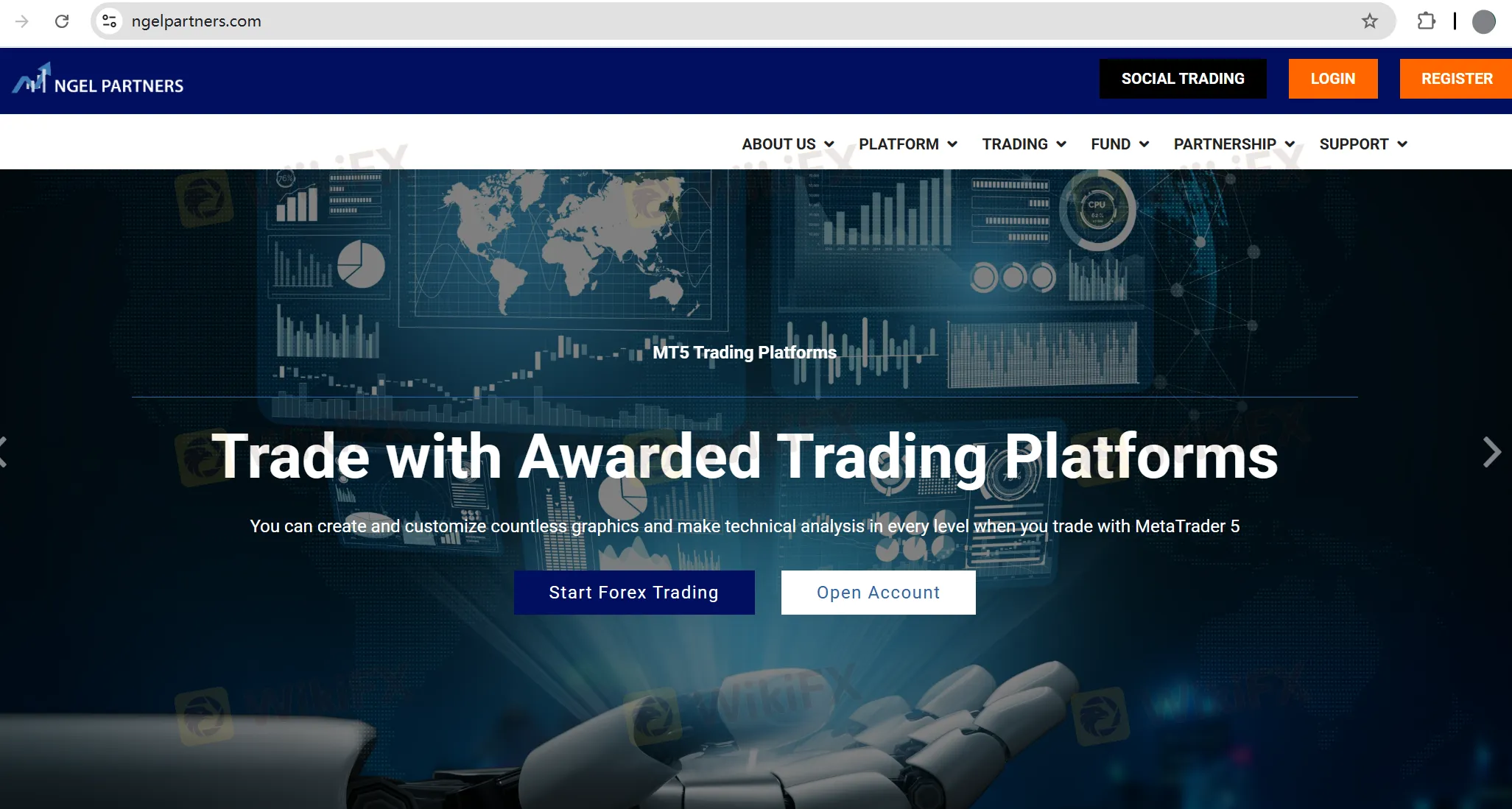 Ngel Partners Thông tin