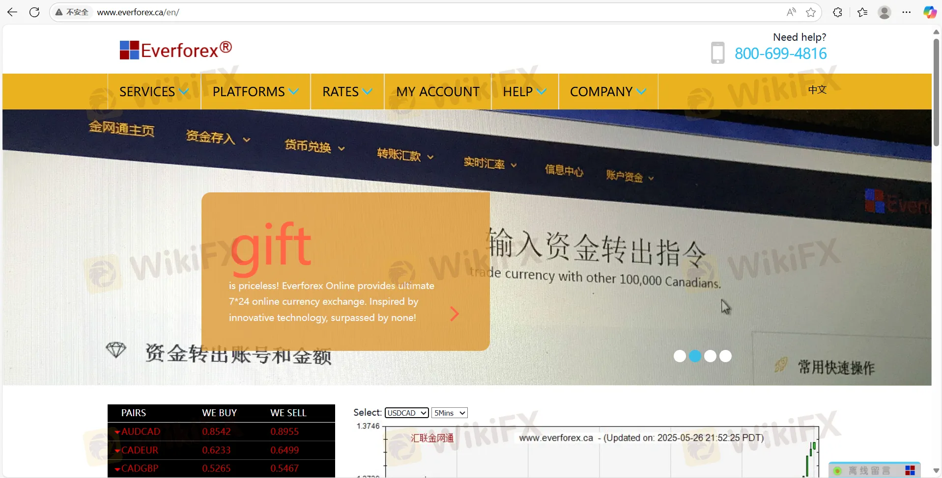 Everforex Informasi
