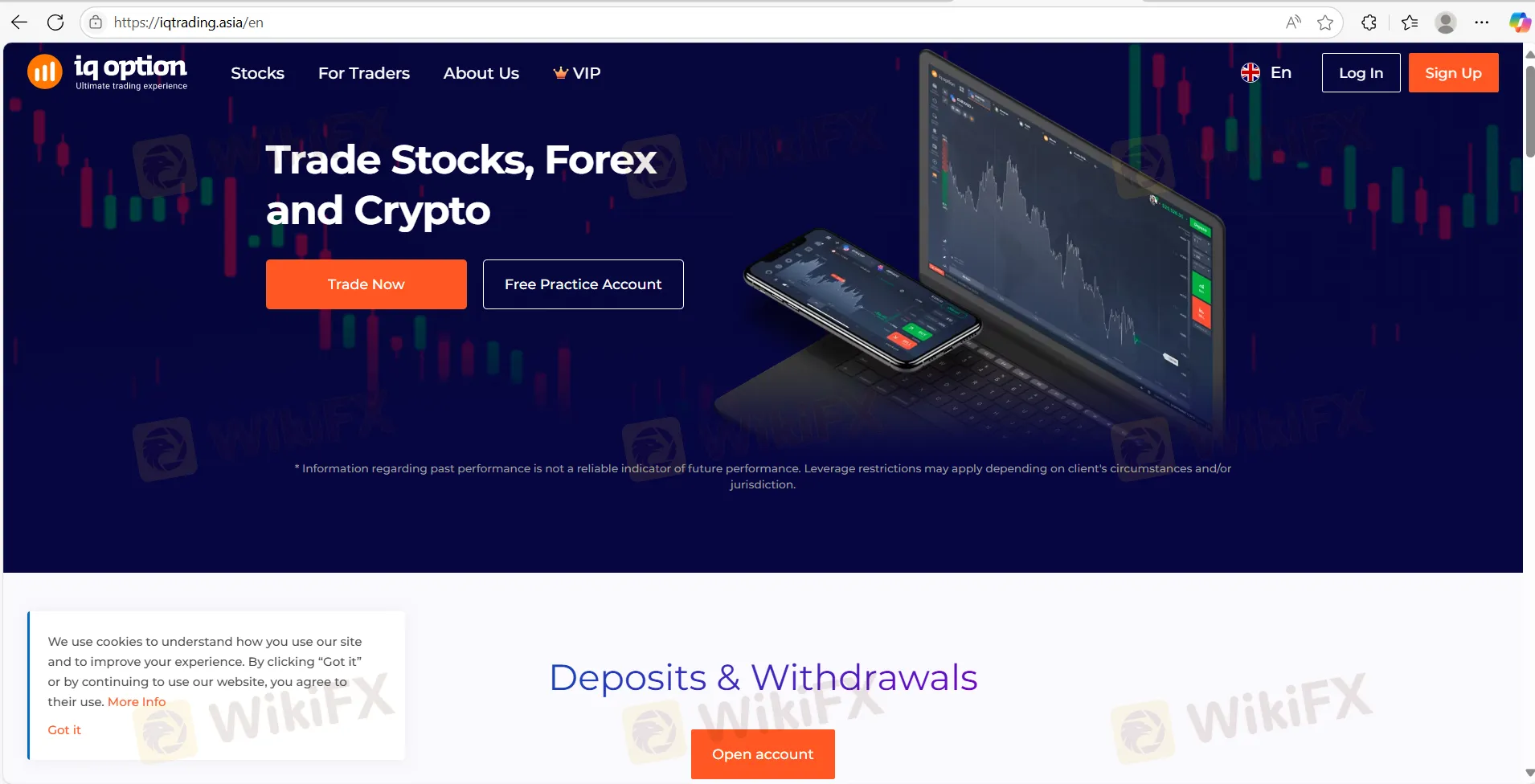 IQ Option 信息
