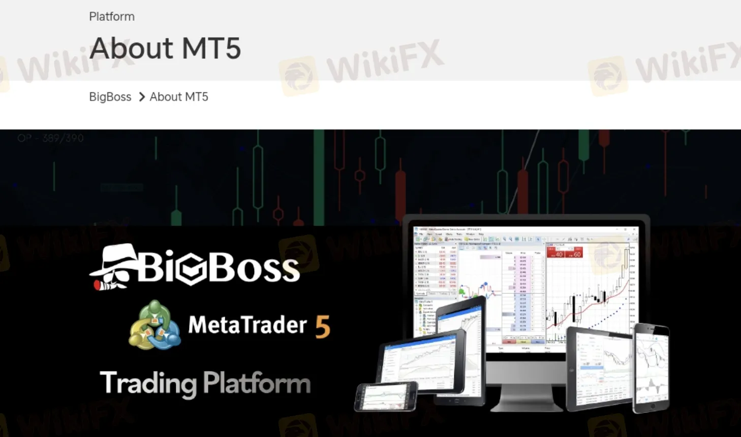 Trading Platform