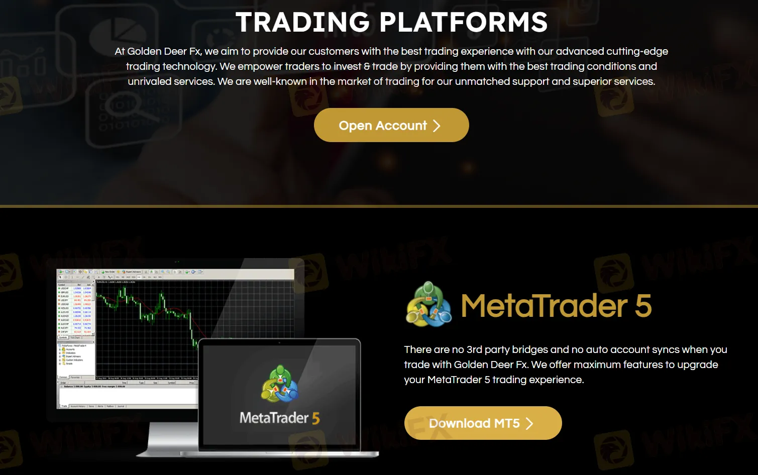 Plateforme MT5 Plateforme MT5